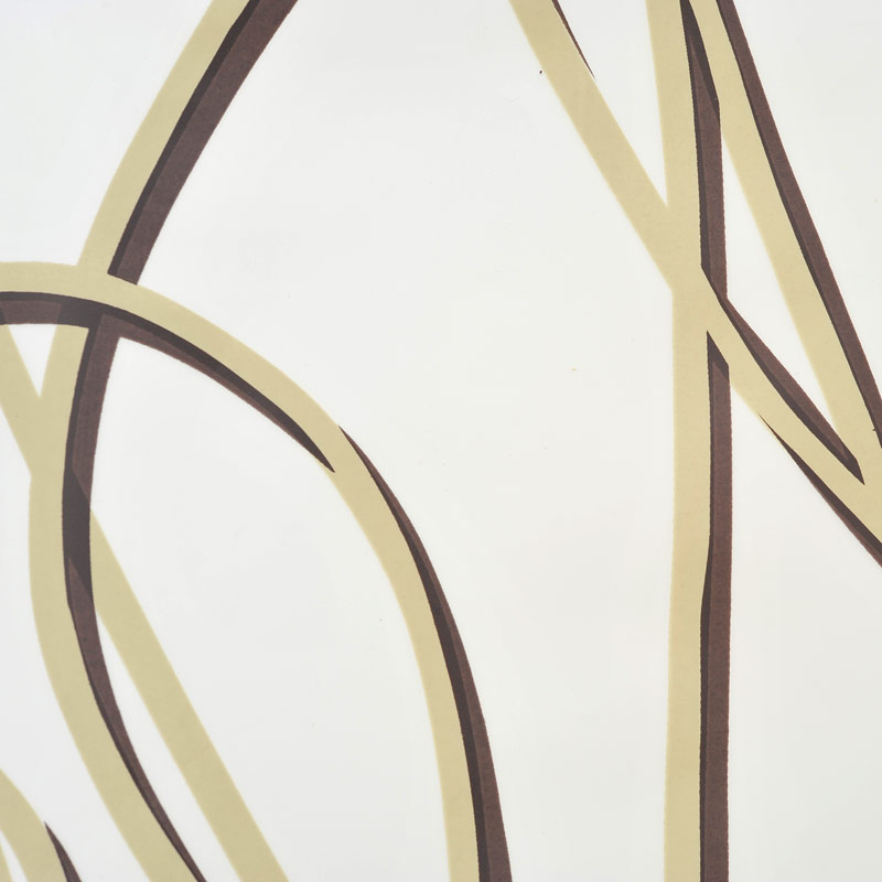 Eco-Plastic Shower Curtain 180x200 Spaghetti Beige Brown Eco-Plastic Shower Curtain 180x200 Spaghetti Beige Brown