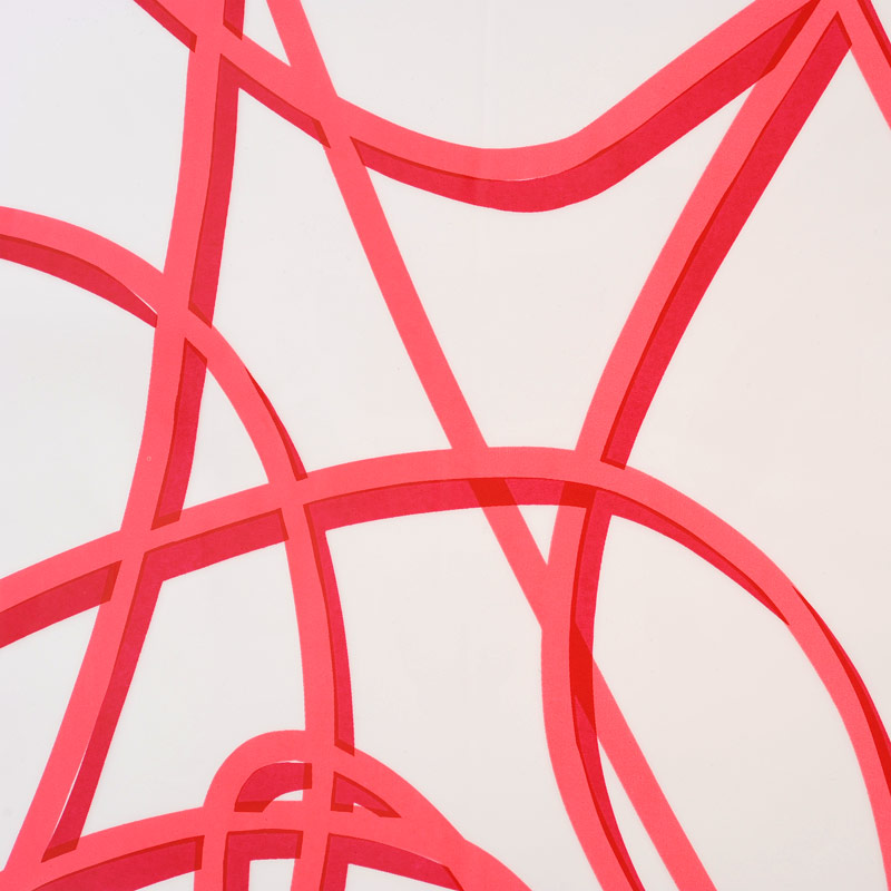 Eco-Plastic Shower Curtain 180x200 Spaghetti Pink Eco-Plastic Shower Curtain 180x200 Spaghetti Pink