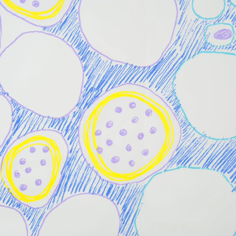 Eco-Plastic Shower Curtain 180x200 Sjaak Blue Eco-Plastic Shower Curtain 180x200 Sjaak Blue