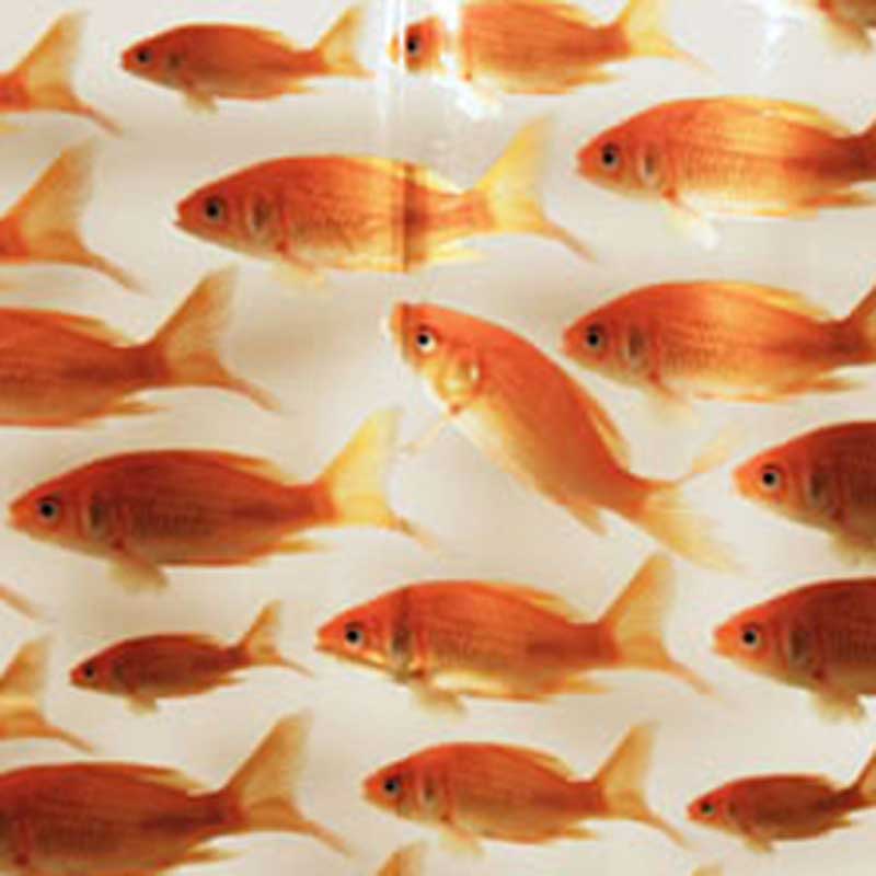Plastic Shower Curtain 180x200 Goldfish
