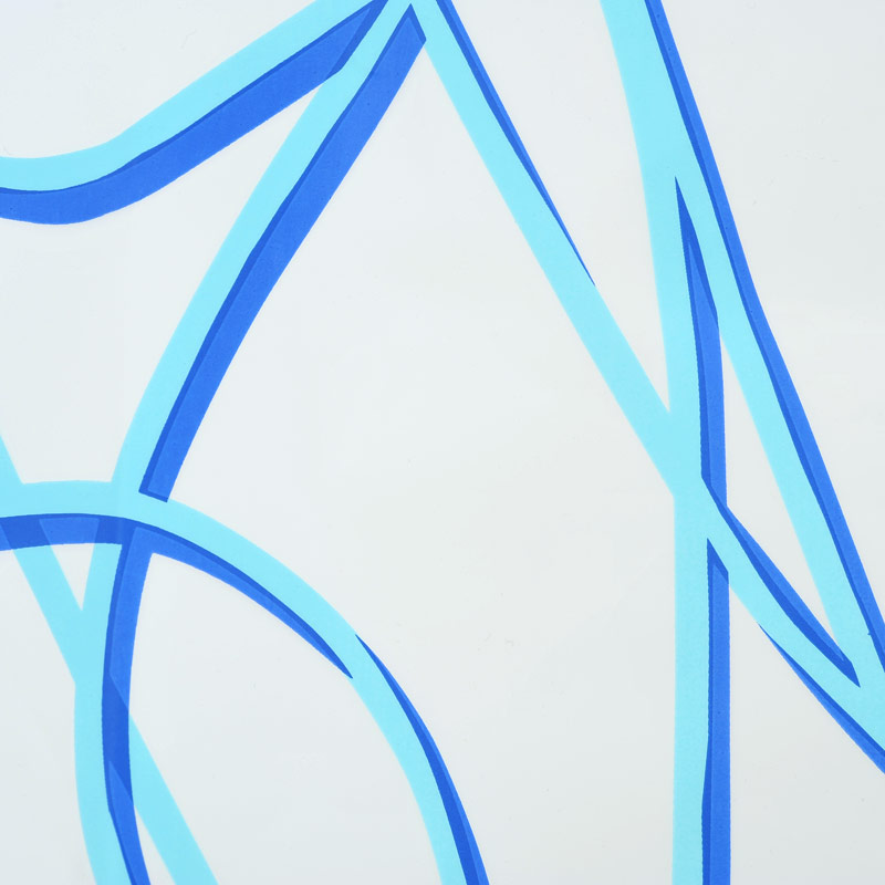 Eco-Plastic Shower Curtain 180x200 Spaghetti Blue Eco-Plastic Shower Curtain 180x200 Spaghetti Blue